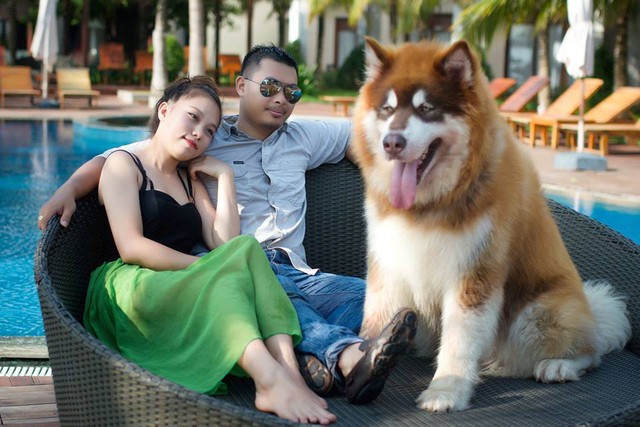 Hình ảnh của chú chó trong clip đi resort cùng ông bà chủ.