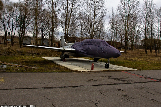 Một chiếc L-29 Dolphin.