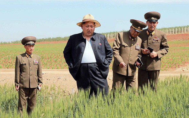 Nhà lãnh đạo Triều Tiên Kim Jong-un kiểm tra cánh đồng lúa mì tại một trung tâm nghiên cứu hạt giống của quân đội Triều Tiên.