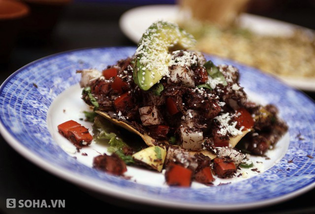 Món taco với châu chấu: Khó có thể hình dung được rằng châu chấu lại có thể tạo nên món ăn hấp dẫn đến như vậy.