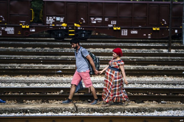 Người đàn ông nhập cư Syria dắt vợ đang mang bầu đi dọc đường ray tại thị trấn Gevgelija ở Macedonia, để bắt tàu tới Serbia.