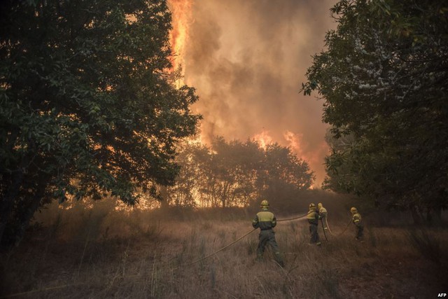 Lính cứu hỏa cố gắng dập tắt cháy rừng tại Lucenza, Tây Ban Nha.