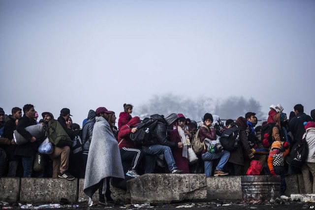 Người di cư xếp hàng để chờ qua biên giới sang Áo từ Sentilj, Slovenia.