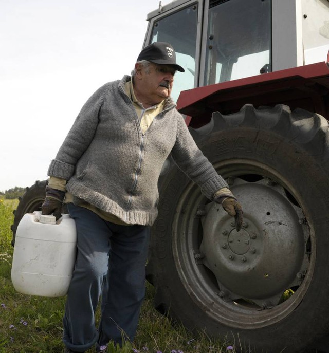 
Tổng thống Jose Mujica làm việc như nông dân. Ảnh: AP
