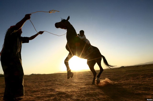 Người đàn ông huấn luyện con trai nhỏ cưỡi ngựa trên sa mạc gần thành phố Tabuk, Ả-rập Xê-út.
