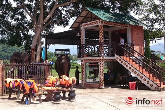 
Dịch vụ cưỡi voi tại Hồ Lắk - Đăk Lăk đem đến cho du khách trải nghiệm khó quên. Với con voi có chiều cao gần 2m nên việc đưa khách lên lưng voi phải có khu vực riêng.
