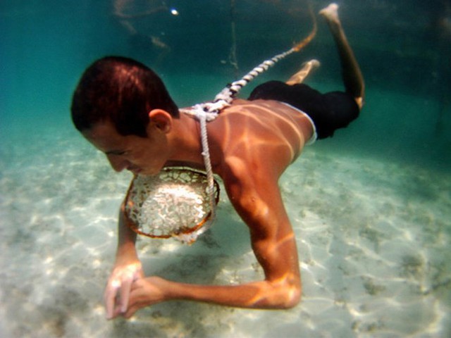 Thợ lặn mò ngọc trai ở Úc Ảnh: LA Times