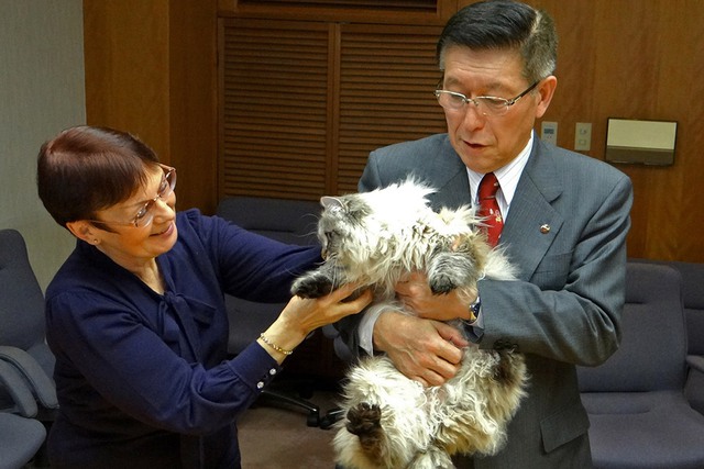 Năm 2012, để cảm ơn nước Nga giúp Nhật Bản cứu trợ thiên tai, nhân chuyến thăm Nga của Ngoại trưởng Koichiro Genba, Thị trưởng thành phố Akita Satake Norihisa đã gửi tặng Tổng thống Nga Putin một chú chó giống Akita. Đáp lại, ông Putin cũng tặng lại phía Nhật Bản chú mèo Siberia.