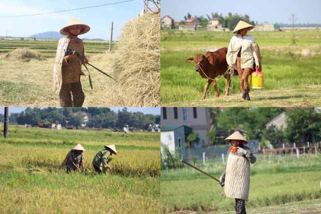 Một tờ báo đã gọi những chiếc áo tơi trong hình là thần hộ vệ giúp người dân Hà Tĩnh chống chọi với nắng nóng 40 độ C. (Ảnh: Văn Đức/Vietnamnet)