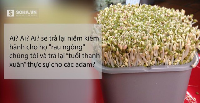 
Xử lý ảnh: Mạnh Quân
