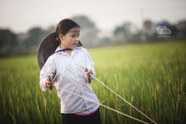 Xao xuyến hình ảnh em bé tát nước trên cánh đồng