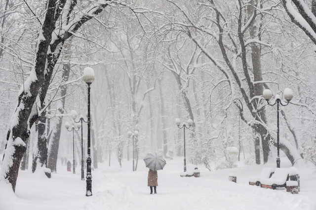 Người phụ nữ đứng dưới mưa tuyết trong một công viên ở Kiev, Ukraine.
