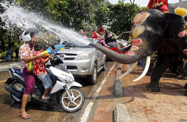 Voi phụt nước vào người dân trong lễ hội té nước truyền thống Songkran ở Ayutthaya, Thái Lan.