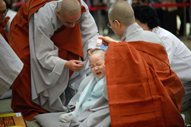 Một cậu bé được các nhà sư cạo tóc trong ghi lễ “Trẻ em trở thành sư” tại ngôi chùa Jogye ở Seoul, Hàn Quốc.