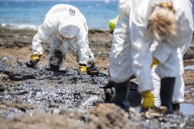 Tình nguyện viên thu gom dầu thô trên bãi biển Muelle Viejo trên quần đảo Canary, Tây Ban Nha.