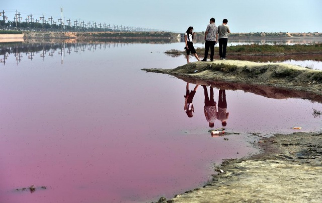 Du khách tham quan một hồ nước hồng bí ẩn ở thành phố Vận Thành, Trung Quốc. Màu hồng là do một loại tảo trong hồ sản sinh ra chất carotenoid.