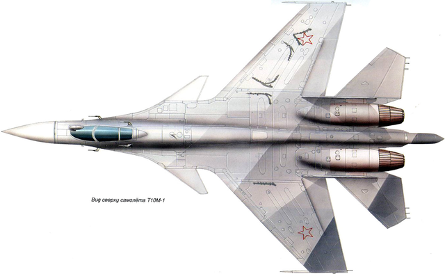 nguyên mẫu đầu tiên của Su-35 cũ, sản xuất 6/1989. Nguyên mẫu này vẫn giữ kiểu cánh và đuôi cũ nhưng đã bỏ đi các đối trọng chống rung ở hai đầu mút cánh, có thêm bào khí trước và chưa có trang bị điện tử mới.