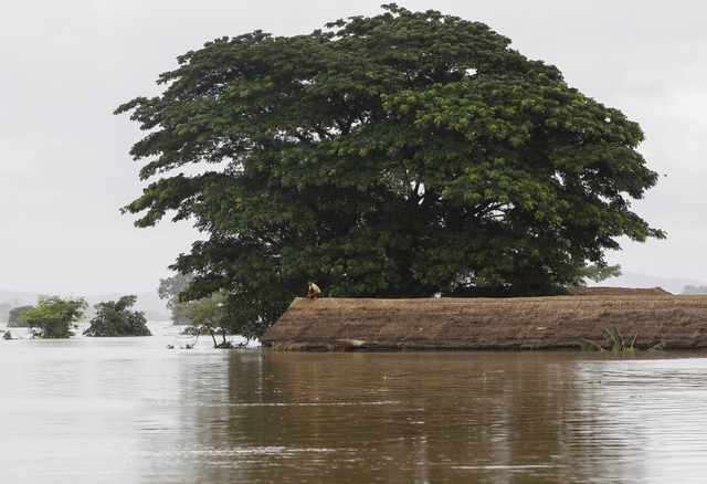 Người đàn ông ngồi trên đỉnh mái nhà bị ngập trong nước lũ ở Sagaing, Myanmar.