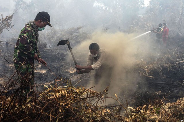 Người dân và quân nhân nỗ lực dập tắt một đám cháy rừng tại huyện Rimbo Panjang, tỉnh Riau, Indonesia.