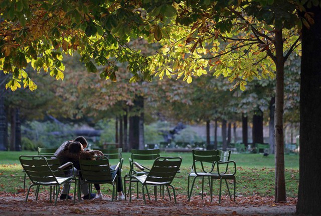 Cặp đôi tình tứ với nhau dưới nắng thu vàng trong một công viên ở Paris, Pháp.