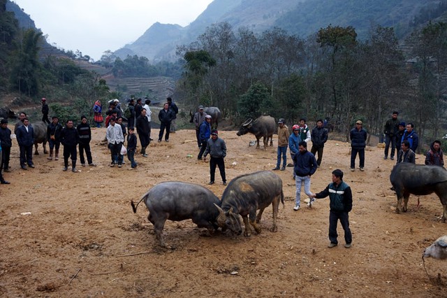 Chợ trâu, chợ phiên, Cán Cấu, tây bắc