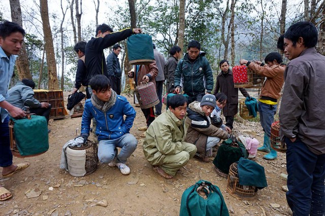 Chợ phiên, chợ chim, họa mi