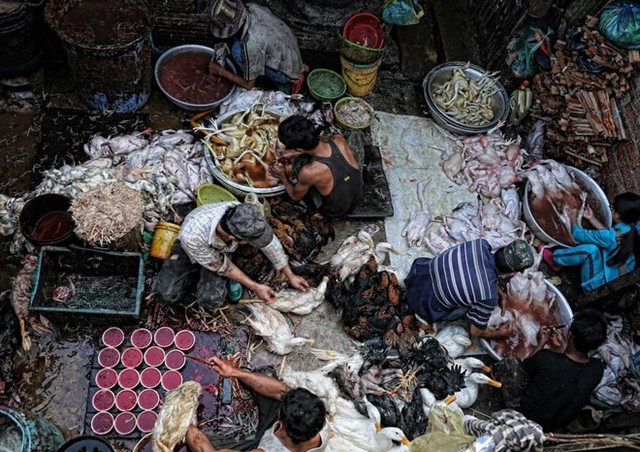 
Chợ gia cầm của nhiếp ảnh gia Peter Graney chụp tại Phnom Penh, Campuchia. (Nguồn: Sputniknews)
