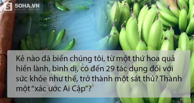 
Xử lý ảnh: Mạnh Quân
