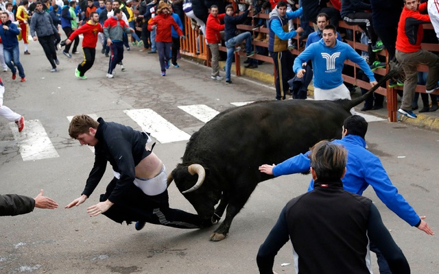 Một thanh niên người Mỹ bị bò húc khi tham gia lễ hội Carnaval del Toro ở Ciudad Rodrigo, Tây Ban Nha.