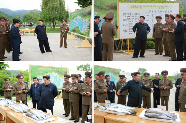 Pak Yong Sik đã đón tiếp và sau đó là liên tục xuất hiện bên cạnh nhà lãnh đạo Kim Jong Un khi ông này đi thị sát trang trại cá Sinchang.