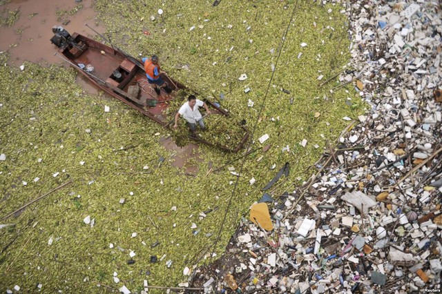 Công nhân thu dọn rác trên sông Dương Tử đoạn chạy qua thành phố Trùng Khánh, Trung Quốc.