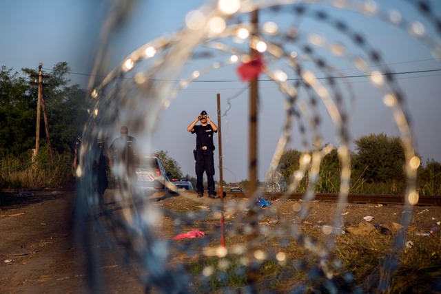 Cảnh sát theo dõi những người di cư trái phép gần khu vực biên giới ở Röszke, Hungary.
