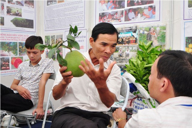 Ngoài ra, trong hội chợ cũng trưng bày rất nhiều loại trái cây độc và lạ. Trong ảnh là bưởi hồng đào siêu năng suất của ông Phạm Văn Dũng (Thanh Trì, Hà Nội) với số lượng quả lên đến 1.000 quả/cây.