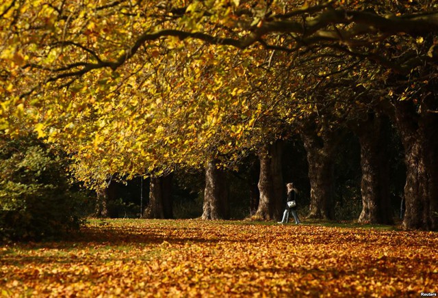 
Mọi người đi trên thảm lá khô trong một ngày mùa thu ở công viên Sefton, Liverpool, Anh.
