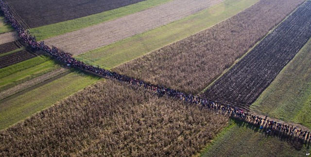 Dòng người di cư đi qua cánh đồng ở Rigonce, Slovenia, sau khi vượt qua biên giới từ Croatia.