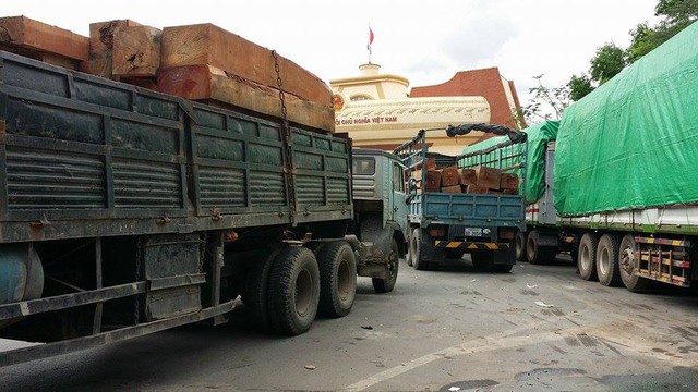 Hàng trăm, xe gỗ, Cửa khẩu, Quốc tế Lao Bảo, Quảng Trị, nhập khẩu