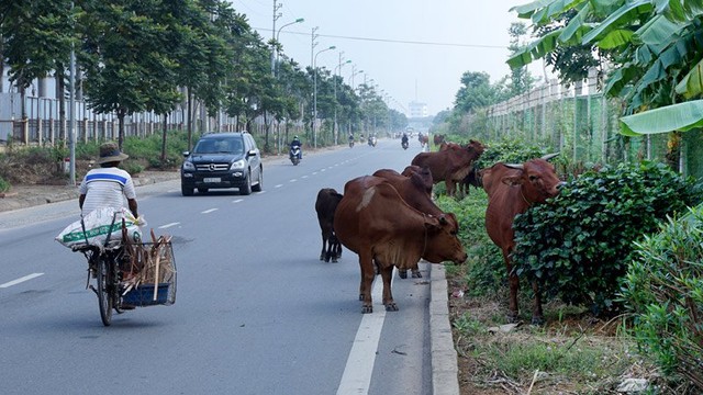 
Kiểu lưu thông trên đại lộ hiện đại nhất Việt Nam không khác gì trên đường làng.
