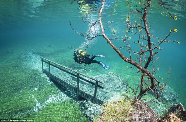 
​Cây cầu trong “công viên dưới nước”
