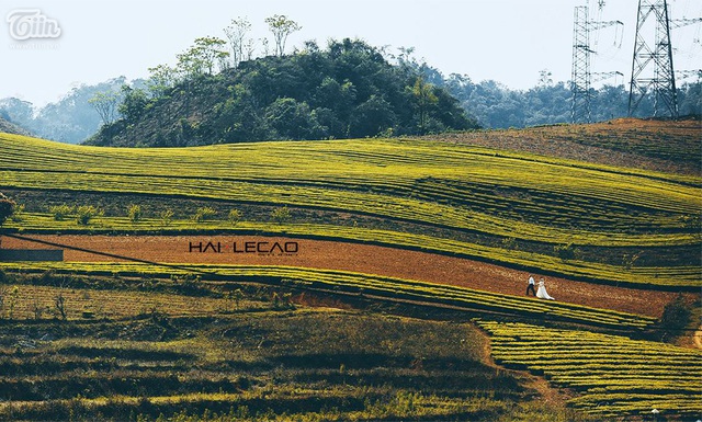 Mộc Châu đẹp ma mị trong bộ ảnh cưới của cặp đôi Việt – Balan