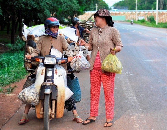 Đặc sản nấm mối ở Đồng Nai được nhiều thương lái thu gom, bán lại cho nhà hàng với giá gấp đôi.