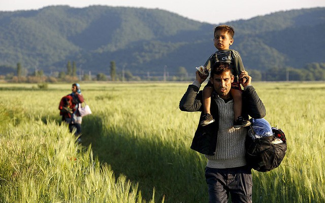 Người đàn ông nhập cư Afghanistan cõng con trên vai cùng vợ đi qua cánh đồng lúa gần biên giới giữa Hi Lạp và Macedonia trong hành trình vượt biên sang Macedonia.