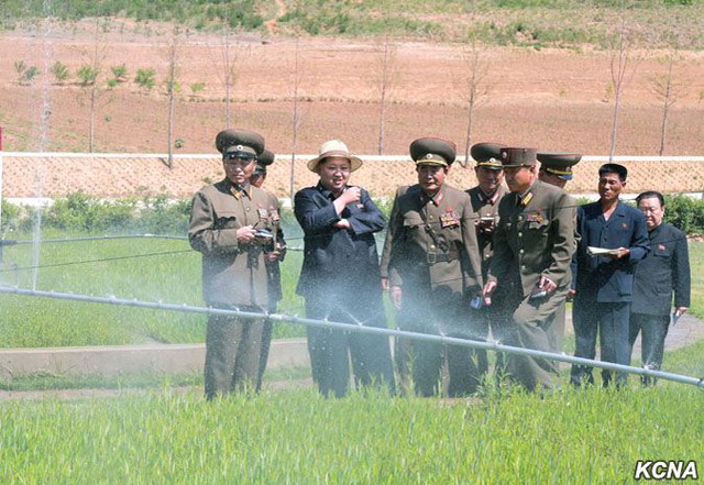 Ông Pak cùng nhà lãnh đạo Kim Jong Un và các quan chức cấp cao thị sát vườn ươm cây.
