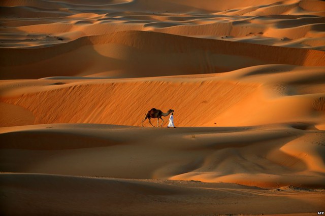 Người đàn ông dắt lạc đà đi dọc sa mạc Liwa Oasis gần thành phố Abu Dhabi, Các tiểu vương quốc Ả-rập thống nhất.