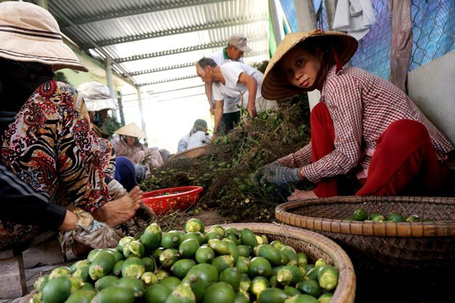 Hơn 10 nhân công địa phương được ông Cường thuê để tách buồng.