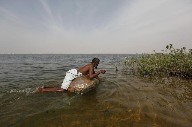 Người đàn ông đang giăng lưới đánh cá trên hồ Keenjhar ở Pakistan.