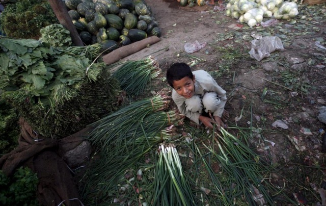 Một cậu bé ngồi phân loại hành tươi tại một khu chờ bán buôn rau quả ở Karachi, Pakistan.