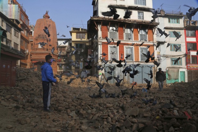 Người đàn ông cho chim bồ câu ăn giữa đống đổ nát sau thảm họa động đất ở Kathmandu, Nepal.