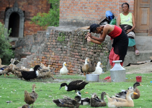 Một phụ nữ gội đầu ngoài sân nhà cô ở thành phố Kathmandu, Nepal.