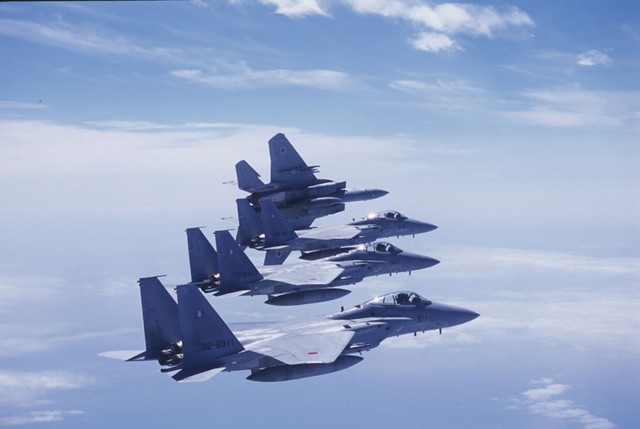 Những chiếc F-15J/DJ có ngoại hình giống hệt F-15C/D, máy bay trang bị các hệ thống điện tử hiện đại do Mỹ sản xuất.