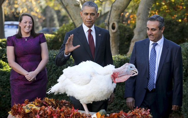 Tổng thống Mỹ Barack Obama xá tội cho gà tây trong lễ Tạ ơn trong vườn hồng ở Nhà Trắng, Washington.